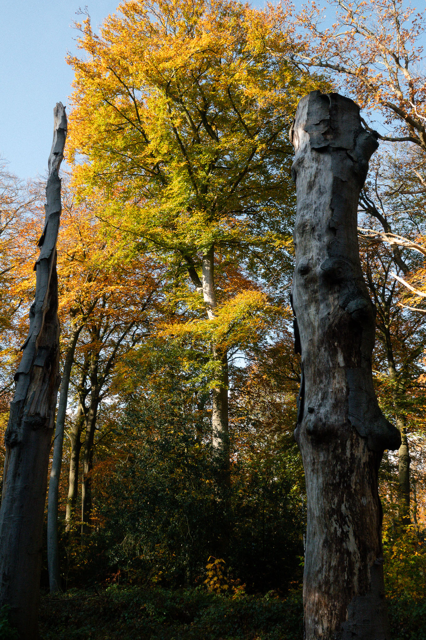 20251108   Huys te Warmond met Brigitte   013